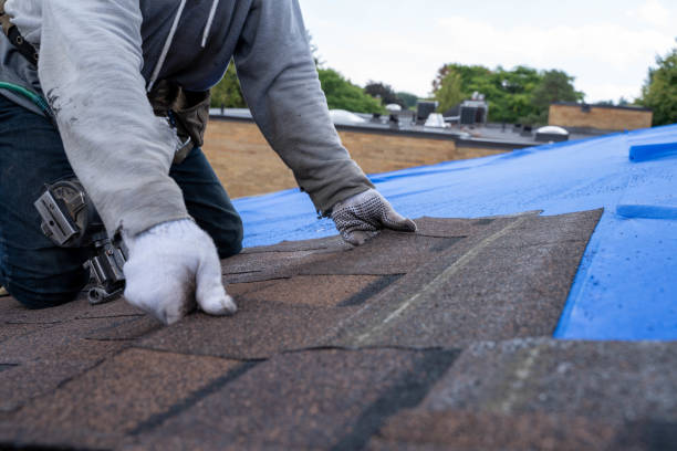 Roof Gutter Cleaning in East Cleveland, OH