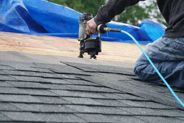 Roof Gutter Cleaning in East Cleveland, OH